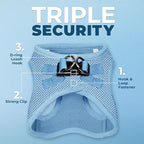 Best Pet Supplies Voyager Step-in Air All Weather Mesh Harness and Reflective Dog 5 ft Leash Combo with Neoprene Handle, for Small, Medium and Large Breed Puppies - Set (Baby Blue), S