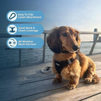 Best Pet Supplies Voyager Step-in Air All Weather Mesh Harness and Reflective Dog 5 ft Leash Combo with Neoprene Handle, for Small, Medium and Large Breed Puppies - Set (Black), L