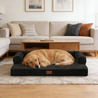 Orthopedic Dog Beds for Large Sized Dogs, Waterproof Egg Crate Foam Large Dog Couch Beds with Comfy Bolster 36x27Inch, Washable Pet Beds with Removable Cover and Nonskid Bottom, Black
