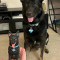 Custom Pet Portrait Cake Topper, Handcrafted Dog Cat Figurine, Personalized Pet Wedding Cake Decoration Keepsake
