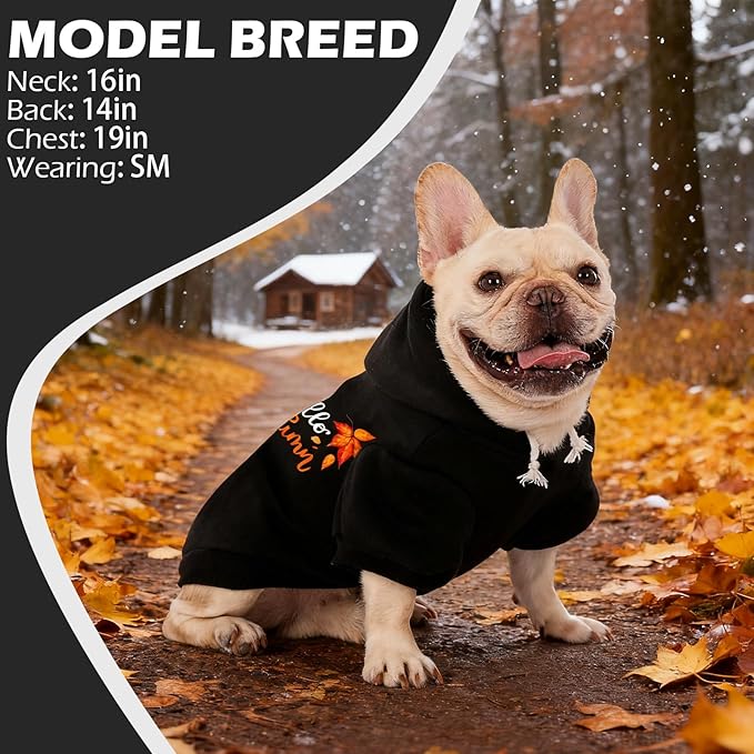 EXPAWLORER Fall Dog Hoodie-Soft and Warm Dog Sweaters, Pet Clothes Autumn Winter Coat Sweatshirt with Autumn Maple Leaf Theme Print for Puppy,Cat, Small Medium Large Dogs