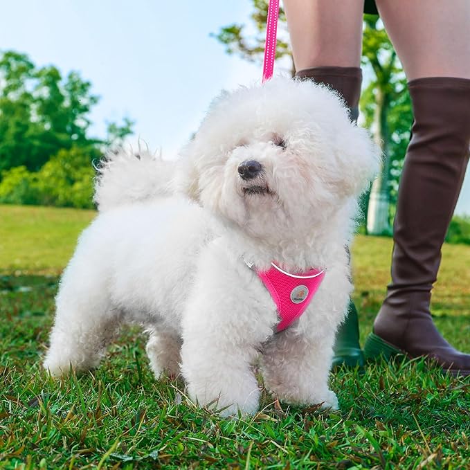 Hipubby Dog Harness and Leash Set, No Pull Soft Mesh Puppy Harness for Small Medium Dogs, Cats - Step in Reflective Breathable Lightweight Vest Harness for Walking, Training - Rose Red, XXS