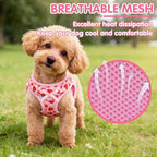 PUPTECK Dog Harness for Puppy and Small Sized Dogs, Step-in No Pull Soft Mesh Vest Harness for Cats Small Pets Walking, Pink Strawberry, New S