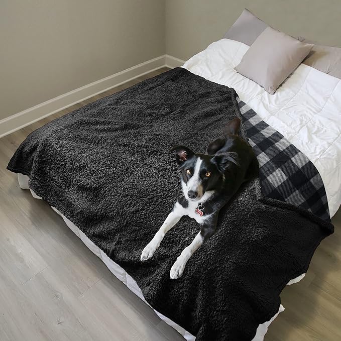 Kritter Planet Waterproof Bed Blanket, Washable Stain Proof Pad Bed Cover, Reversible Leakproof Furniture Protector, Liquid Pee Proof Blanket for Couch Sofa, 80x60 inch, Queen Size