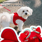 PetiFine Step in Small Dog Harness and Leash Set, Breathable All Weather Air Mesh Reflective Escape Proof, Step-in Vest Harnesses for Puppy(XS, Red)