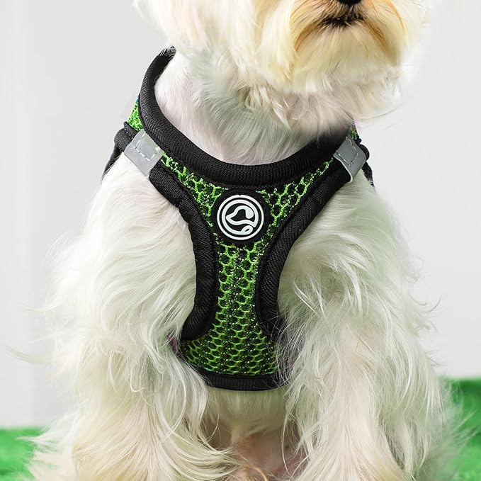 No Pull Small Dog Harness Tiny Dog Harness for Small Dogs Cats Chihuahua Harness Lightweight Extra Small Dog Harness Vest Reflective Step in Air Mesh Puppy Harness (Green, X-Small)