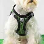 No Pull Small Dog Harness Tiny Dog Harness for Small Dogs Cats Chihuahua Harness Lightweight Extra Small Dog Harness Vest Reflective Step in Air Mesh Puppy Harness (Green, X-Small)