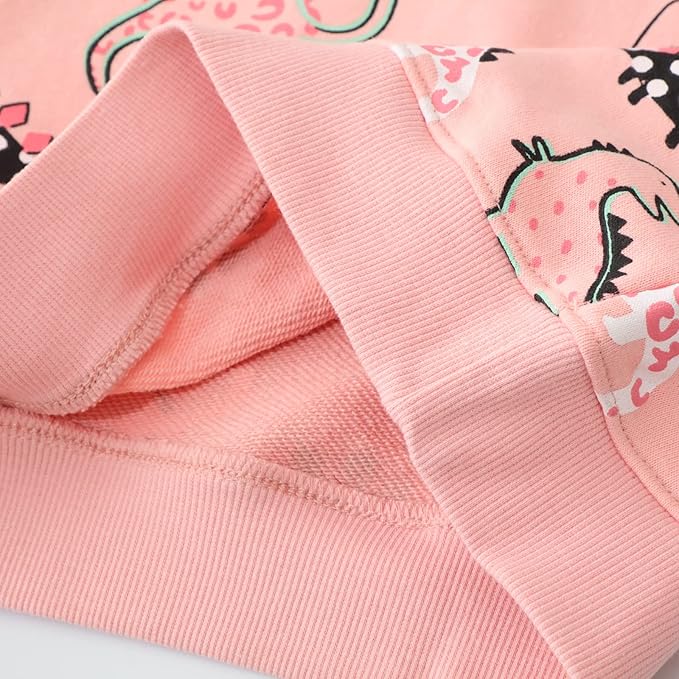 RETSUGO Toddler Baby Girls Sweatshirts Casual Pullover Crewneck Winter Long Sleeve Tops Shirts Clothes 3T-8T