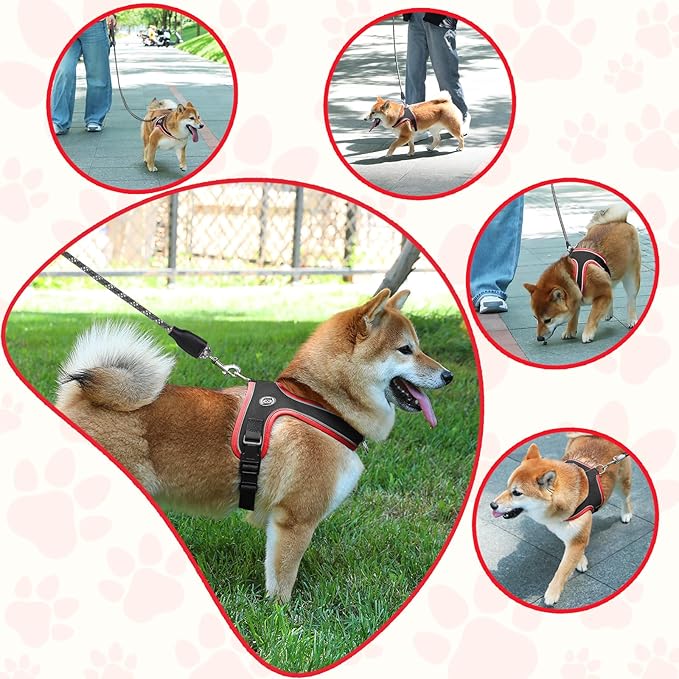 Dog Harness and Leash Set, No Pull Saddle Style Pet Harness, Breathable Mesh Adjustable Reflective Dog Vest for Dogs and Cat Medium Small Harness 2 D-Rings (Black, S)