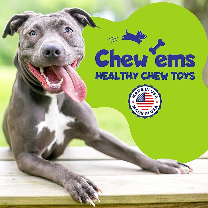 Chew’EMS X Bone Dog Chew Toy for Aggressive Chewers – Long-Lasting Salmon Flavor Nylon Bone – Durable, Rawhide-Free Dental Toy - Giant Size – Made in USA