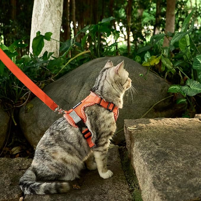 Cat Harness and Leash Escape Proof Small Kitten Harness Abyssinian Cat Vest for Walking Travel, Orange, S