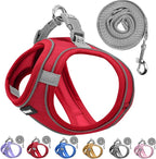 Solmoony Sparkly XXXS Dog Harness and Leash Set, Step in Soft Light Puppy Vest, Breathable Reflective Pet Harness for Walking, Puppy Harness for Small Dogs Cats (Red, XXXS)