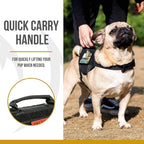 OneTigris Tactical Dog Harness,Puppy Harness with Handle, Military Vest for Small Dogs Outdoor Easy Control Training Walking