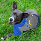 Chargers Hoodie Tee by Pets First
