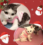 2 Pieces XXS Chihuahua Cute Small Dog Puppy Winter Extra Small Dachshund Sweater Fleece Pet Clothing