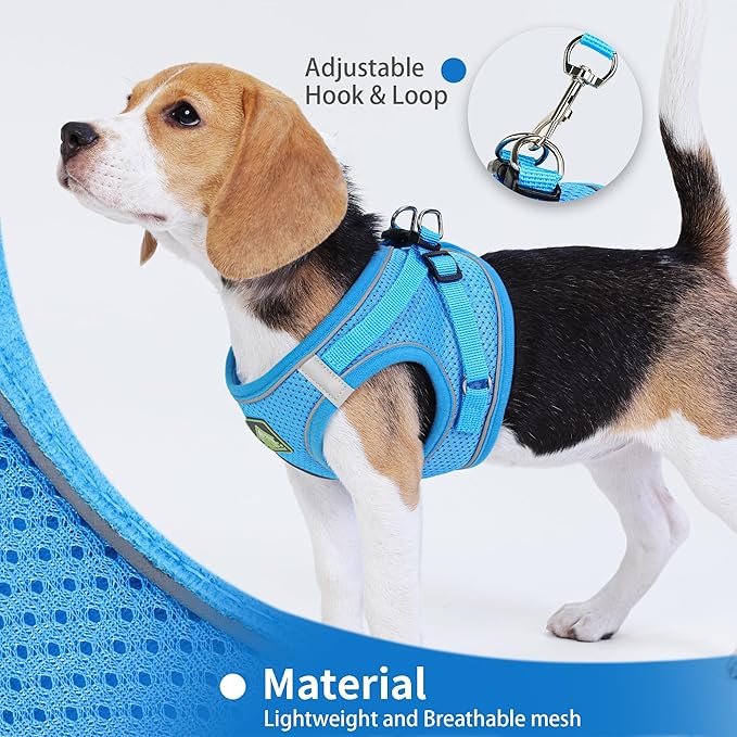 Step in Dog Harness with Leash Set, Adjustable Soft Padded and Breathable Mesh for Small Sized Dog, Reflective No Pull No Choke Cat Vest Harness, Easy Control Pet Vest, Blue L