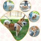 Dog Harness and Leash Set, No Pull Saddle Style Pet Harness, Breathable Mesh Adjustable Reflective Dog Vest for Dogs and Cat Medium Small Harness 2 D-Rings (Grey, M)