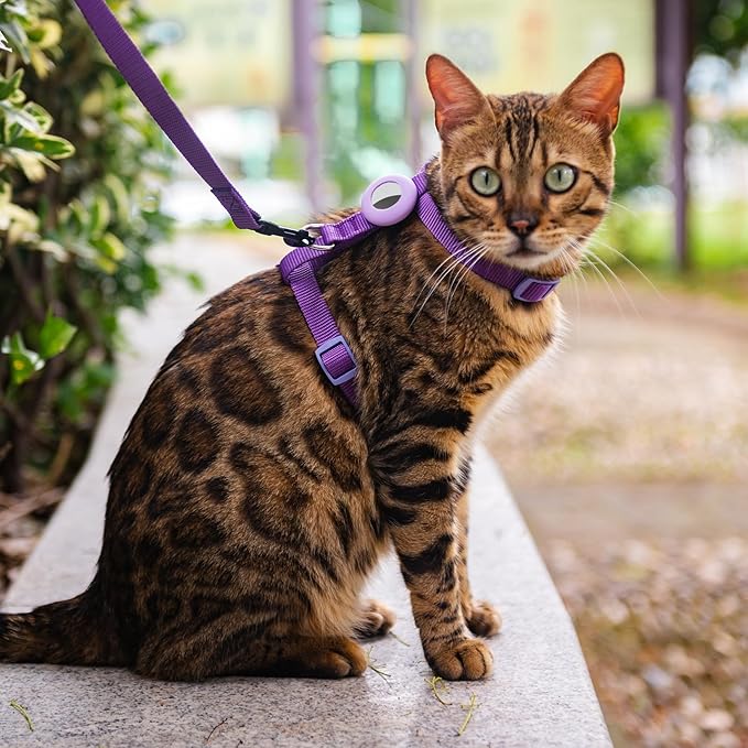 Cat Harness and Leash Set with Airtag Holder for Walking & Travelling, Escape Proof Cat Harness for Small Medium Large Kitten, Adjustable Lightweight Soft Cat Vests (Purple)