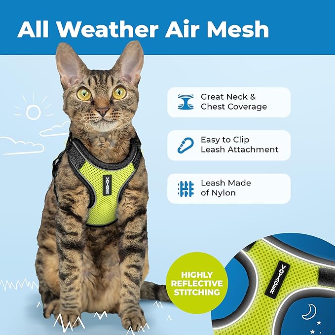 Voyager Escape-Proof Step-in Lock Cat Harness & 5ft Neoprene-Handle Leash Set All-Weather Mesh with Reflective Stitching for Small to Large Cats by Best Pet Supplies, Black Trim-Lime (327), XS