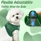 AIITLE No Pull Dog Harness and Leash Set, Step in Adjustable Dog Harness with Padded Vest for All Weather, Dog Leash with Soft Padded Handle, Easy to Put on Small and Medium Dogs Green S