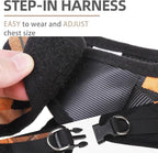 PUPTECK Adjustable Dog Harness Collar and Leash Set Step in No Pull Pet Harness for Small Medium Dogs Puppy and Cats Outdoor Walking Running, Soft Mesh Padded Reflective Vest Harnesses, Orange XL