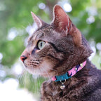 Kittyrama Botanicals Fern Kitten Collar. Award Winning. Hypoallergenic, Quick Release Breakaway, Comfy & Soft. Vet Approved. Other Styles Available