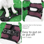 Step in Dog Harness Comfort Mesh Dog Vesr Harness Extra Small Pet Harness for Chihuahua Soft Padded Harness Lightweight Puppy Harness for Cat Doggie Outdoor Walking (Rose, Medium)