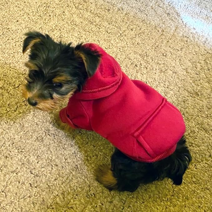 Jecikelon Winter Dog Hoodie Sweatshirts with Pockets Warm Dog Clothes for Small Dogs Chihuahua Coat Clothing Puppy Cat Custume (Wine red, Large)