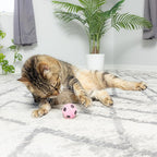 SPOT Sponge Soccer Ball Cat Toys - Interactive and Colorful Plush Toy, Fun for Cats and Kittens to Bat and Chase, Keep Cats Entertained - 1.5" Assorted 4- Pack