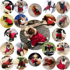 Jecikelon Winter Dog Hoodie Sweatshirts with Pockets Warm Dog Clothes for Small Dogs Chihuahua Coat Clothing Puppy Cat Custume (Wine red, XX-Small)