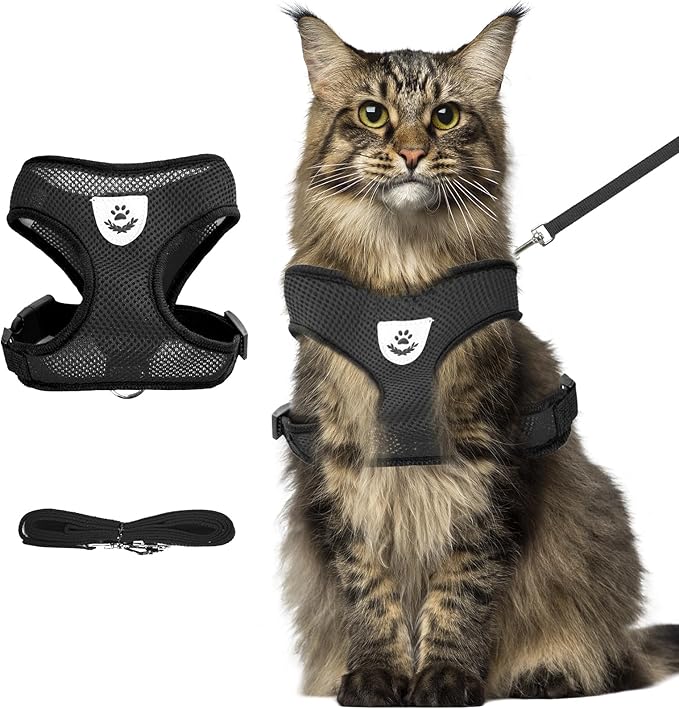 shudyear Summer cat Chest Harness and Leash, Anti-Escape Adjustable Soft mesh cat Leash and Chest Harness Set for All Types of Cats cat Vests (Size XL,Black)