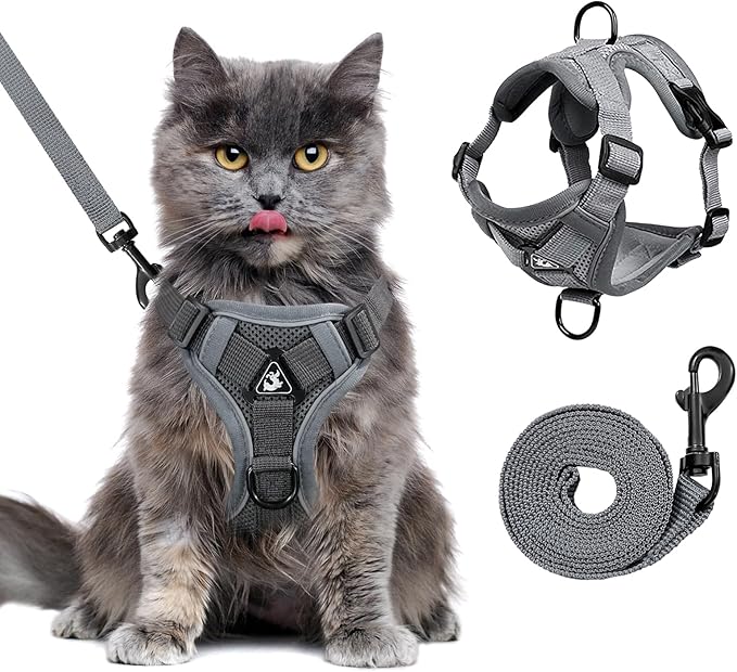 Escape Proof Kitten Harness and Leash Set - Adjustable Soft Mesh Vest for Small Cats, Reflective Breathable Walking Harness with 4 Buckles
