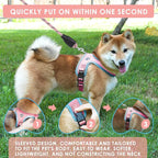 Dog Harness and Leash Set, No Pull Saddle Style Pet Harness, Breathable Mesh Adjustable Reflective Dog Vest for Dogs and Cat Medium Small Harness 2 D-Rings (Pink, XS)