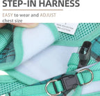 PUPTECK Adjustable Dog Harness Collar and Leash Set Step in No Pull Pet Harness for Small Medium Dogs Puppy and Cats Outdoor Walking Running, Soft Mesh Padded Reflective Vest Harnesses, Lake Green L