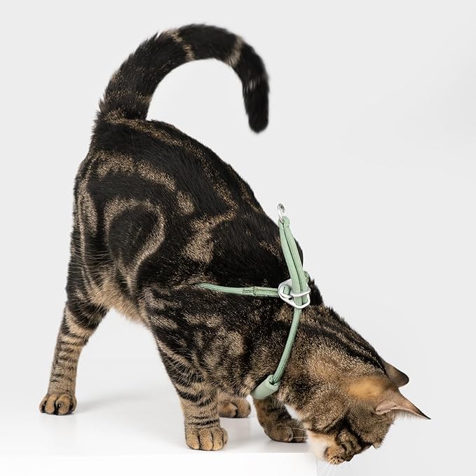 Escape Proof Y Shape Cat Harness Anti-Choke Buckle Adjustable Comfortable Padded Cat Vest Harness Anti Escape Cat Rope Harness for Kitten Small Medium Large Cats (Black, S)
