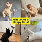 Feather Toys Replacements (3 Pc) - Cat Toys & Kitten Toys for Indoor Kittens, Set of Replacement Feather Attachments Extra Small and Durable, for Cat Wands, Natural and Safe