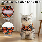 EXPAWLORER Cat Halloween Sweater - Sweaters for Cats Only Soft Warm Pet Clothes, Fall and Winter Pumpkin Coat Pullover Design, Fleece Sweatshirt Clothing Also for Puppy Small Dogs, Medium