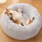 Calming Donut Dogs Beds for Small Dogs Washable,19inch Fluffy Round Puppy Bed for Puppies,Cats & Toy Breeds with Raised Rim,Fits up to 15 lbs Pets,Frost Grey