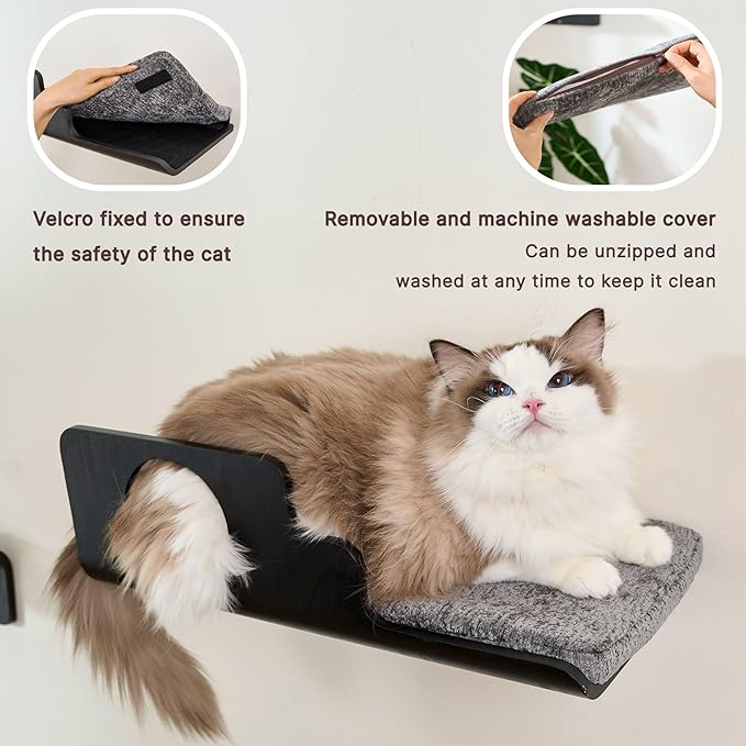 Cat Wall Shelves, Creative Design Cat Shelf with Peephole, 19 x 10 inch Cats Wall Furniture with Comfortable Pad, Cats Perch for Sleeping, Playing, and Scratching, Walnut