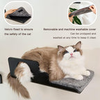 Cat Wall Shelves, Creative Design Cat Shelf with Peephole, 19 x 10 inch Cats Wall Furniture with Comfortable Pad, Cats Perch for Sleeping, Playing, and Scratching, Walnut