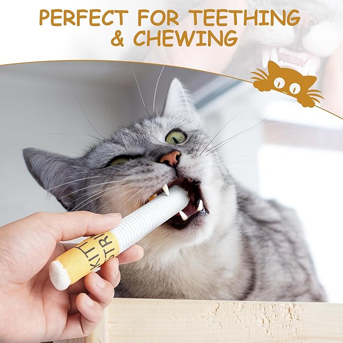 Nocciola 3 Pack Catnip Toys for Cats, Funny Cat Toys Filled with 100% Pure Organic Catnip, Safe Kitten Teething Chew and Kicker Toys, Stress Relieving Fun for Indoor Cats