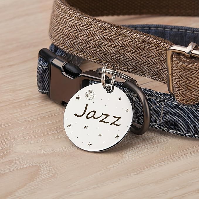 Anavia Small Size Dog Cat ID Tags, Small/XS Personalized Color Plated Stainless Steel Puppy Kitten Name Tags, Customized Engraved Nameplate Pet Collar Tag (Rose Gold, Round)