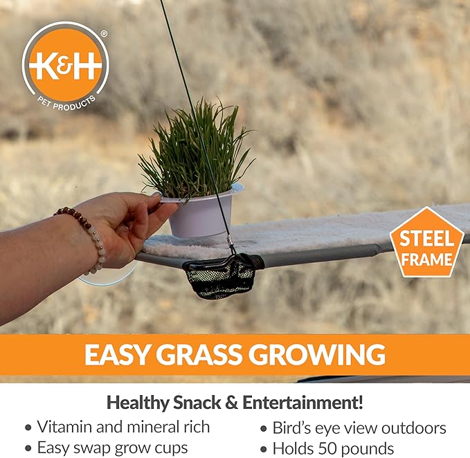 K&H Pet Products Window Lounger with Oat Grass, Cat Window Perch for Large Cats, Farmed in USA, Non-GMO Grass Kit, Sturdy Kitty Sill Window Hammock Bed, Steel Frame, Sturdy Suction Cups - 23 X 12in