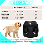 Dog Harness with Airtag Holder for Small Dogs, Puppy, Cats - No Pull Step in Small Dog Harness and Reflective Dog Leash Set for Walking Training Travel Grooming Outdoor