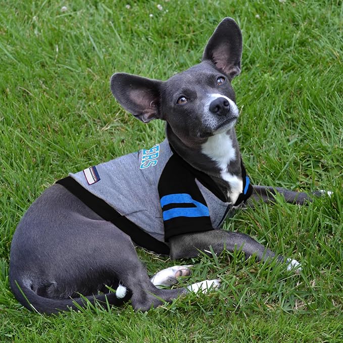 Pets First Hoodie for Dogs & Cats. NFL Football Licensed Dog Hoody Tee Shirt, Large. Sports Hoody T-Shirt for Pets. Licensed Sporty Dog Shirt