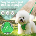 Dog Harness and Leash Set, No Pull Pet Harness for Small Dogs Easy Walking,Soft Breathable Small Dog Harness,Adjustable Reflective Step in Vest Harness for Puppy ,kitten, Cats