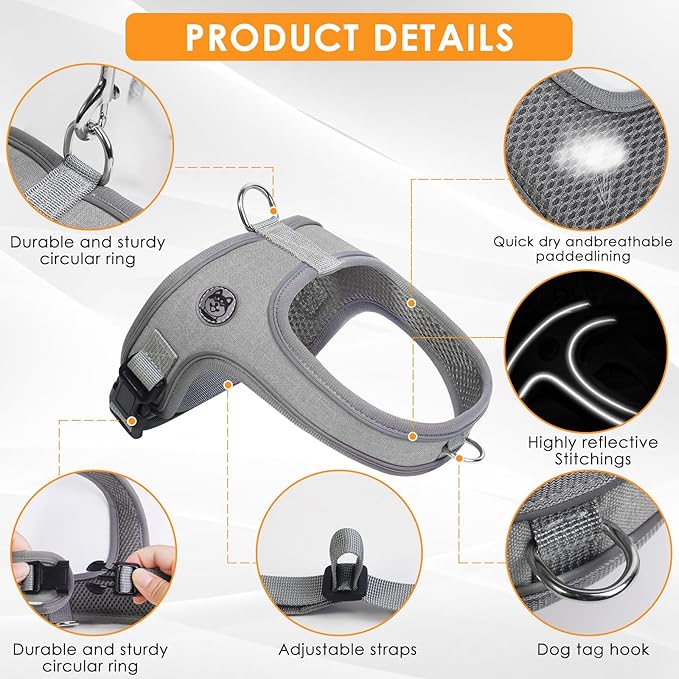 Dog Harness and Leash Set, No Pull Saddle Style Pet Harness, Breathable Mesh Adjustable Reflective Dog Vest for Dogs and Cat Medium Small Harness 2 D-Rings (Grey, L)