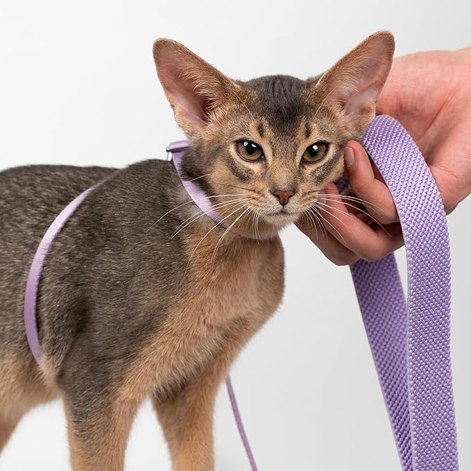 Cat Harness and Leash 2-in-1, Escape Proof Anti-Chocking Harness Adjustable Lighweight Leash for Walking Outoor Training for Kitten Small Large Cats Puppy, US IDA Bronze Award (Blush Pink)