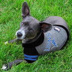 Pets First NFL Detroit Lions Hoodie for Dogs & Cats. | NFL Football Licensed Dog Hoody Tee Shirt, Large | Sports Hoody T-Shirt for Pets | Licensed Sporty Dog Shirt