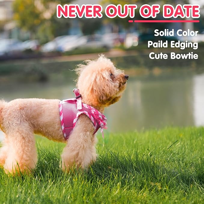 PUPTECK Dog Harness for Puppy and Small Sized Dogs, Step-in No Pull Soft Mesh Vest Harness for Cats Small Pets Walking, Fuschia, New XS